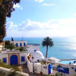 Sidi Bou Saïd 29 apartments