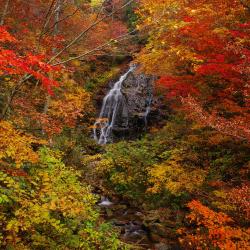 Yonezawa 3 overnattingssteder med onsen