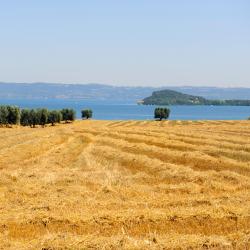 Acquapendente 8 fermes