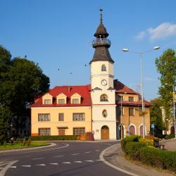 Tomaszów Lubelski Apartmani (8)