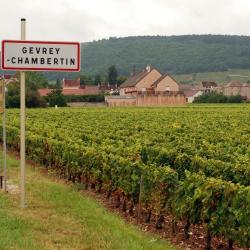 Gevrey-Chambertin 4 cama e cafés (B&Bs)