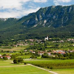 Vipava 16 hotel mesra haiwan peliharaan