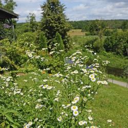 Biała Podlaska Apartmani (42)