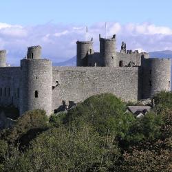 Harlech 4 B&B/chambres d'hôtes