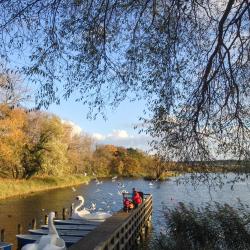 Kolpinsee 10 Ferienwohnungen