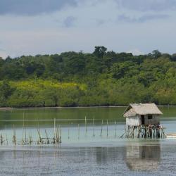 Tagbilaran City 26 khách sạn giá rẻ