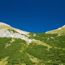 Hart im Zillertal 61 διαμερίσματα