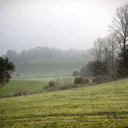 Furth im Wald 15 hôtels pour les familles