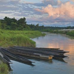 Sauraha 64 सस्ते होटल