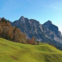 Schwyz 3 hotel mesra haiwan peliharaan