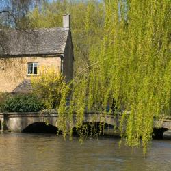 Bourton on the Water 43 kisállatbarát szállás