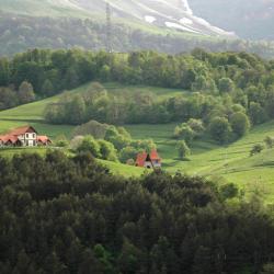 Dilijan 69 apartmana