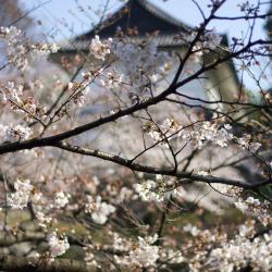 Koriyama 4 overnattingssteder med onsen