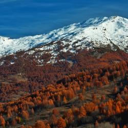 Bardonecchia 4 lomamökkiä