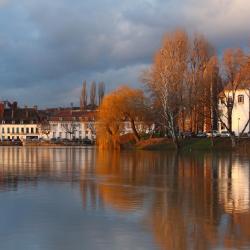 Saint-Rémy 3 хотела, които приемат домашни любимци,