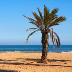 Canet de Berenguer Apartmaji (174)