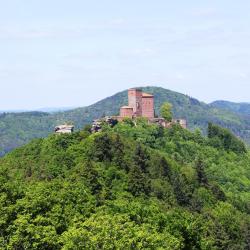 Annweiler am Trifels 17 appartements