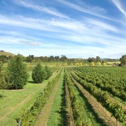 Mudgee 3 villaggi turistici