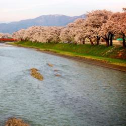 Daisen 3 hoteles de 3 estrellas