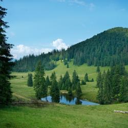 Арієшень 10 лоджів