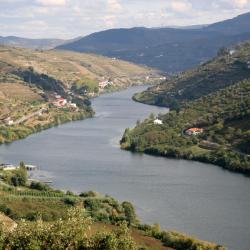 Castelo de Paiva 29 villur