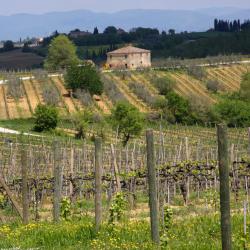 San Quirico dʼOrcia 8 gospodarstw agroturystycznych