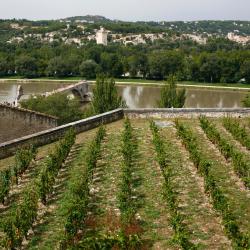 Villeneuve-lès-Avignon 53 allotjaments vacacionals