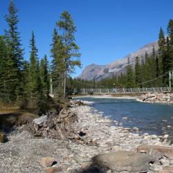 Radium Hot Springs 22 hotéis que aceitam animais de estimação