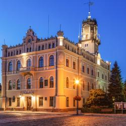 Jarosław 11 pet-friendly hotels