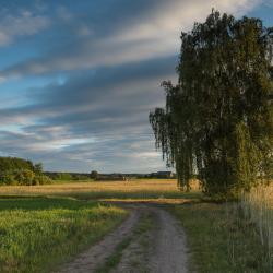 Sława Hoteli ob plaži (3)