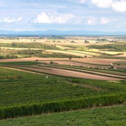 Velke Bilovicė Viešbučiai su baseinais (3)