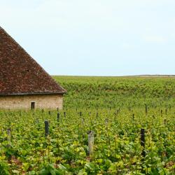 Savigny-lès-Beaune 3 B&B-er