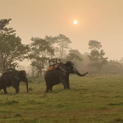 Chitwan 24 सस्ते होटल