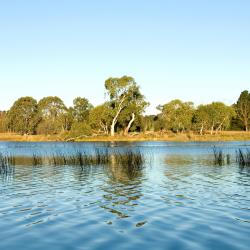 Bowral 31 hoteles que aceptan mascotas