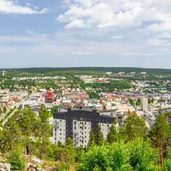 Örnsköldsvik 3 farfuglaheimili