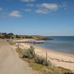 Portarlington 21 hôtels acceptant les animaux domestiques