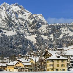 Engelberg 39 khách sạn thân thiện với thú cưng