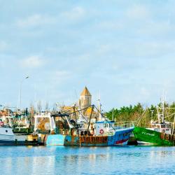 Courseulles-sur-Mer 32 of the holiday homes