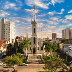 Uberaba Svečius su gyvūnais priimantys viešbučiai (48)