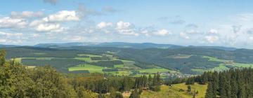 Hoteli u četvrti 'Zueschen'