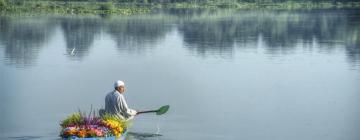 Hoteles en Dal Lake