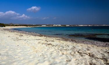 Hótel á svæðinu Nissi Beach