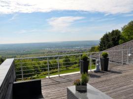 Zum Rebhang Bed & Breakfast, hotel a Oestrich-Winkel