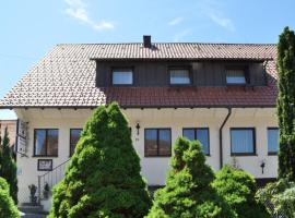 Gasthof-Hotel-Löwen, Hotel in Hechingen