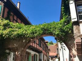 Les Authentics - La Maison d'Amélie, hotel di Riquewihr