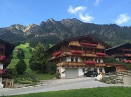 Alpbacher Appartementhaus Johannes