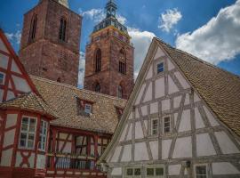 Steinhäuser Hof, hotel din Neustadt an der Weinstraße