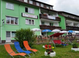 Hotel-Pension Dressel, Hotel in Warmensteinach