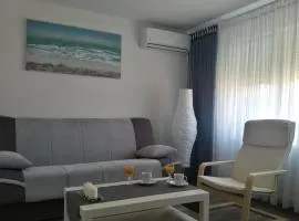 Studio apartman Toplica