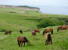 Posada Punta Ballota: Suances'te bir otel